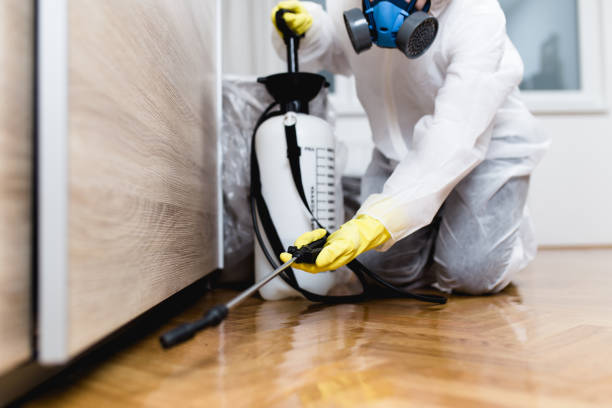 Best Best Pest Control Companies  in Gallipolis, OH