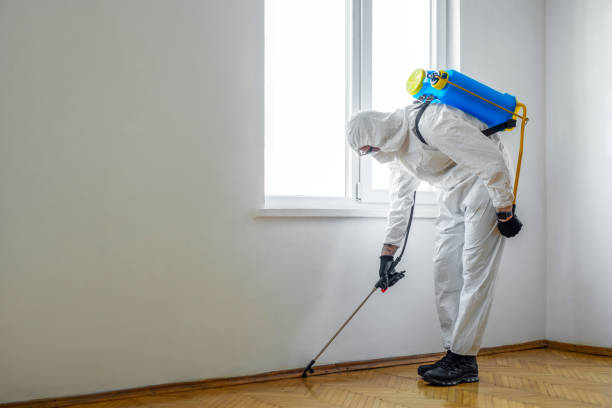 Pest Control for Restaurants in Gallipolis, OH