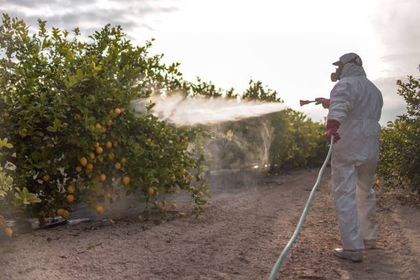 Pest Control Cost in Gallipolis, OH