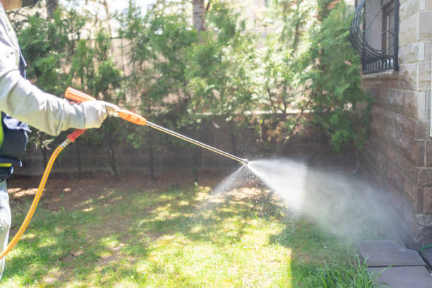 Best Pest Inspection Near Me  in Gallipolis, OH