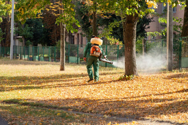 Best Pest Control for Restaurants  in Gallipolis, OH