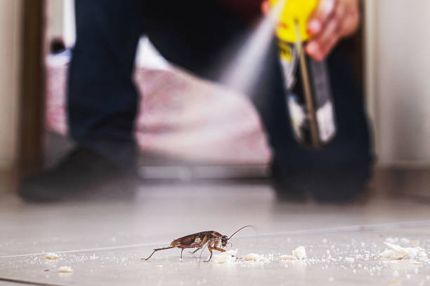 Best Residential Pest Control  in Gallipolis, OH