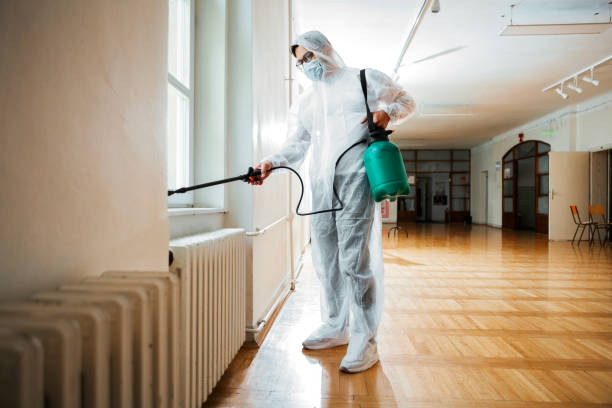Flea Control Services in Gallipolis, OH