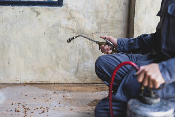 Best Local Pest Control Services  in Gallipolis, OH
